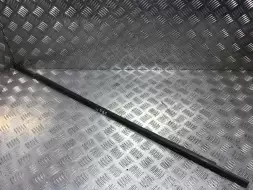 Молдинг стекла двери наружный