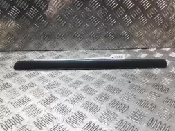 Молдинг (накладка кузовная)