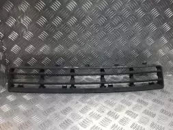 Заглушка (решетка) в бампер передний