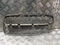 Заглушка (решетка) в бампер передний