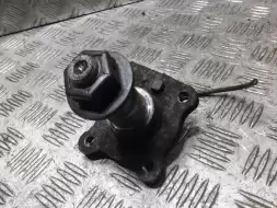 Цапфа задняя левая (ось ступицы)