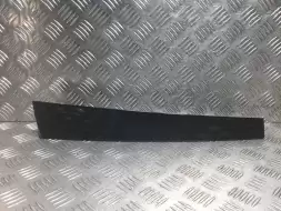 Молдинг (накладка кузовная)