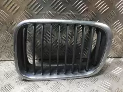 Решетка капота