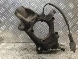 Кулак поворотный левый