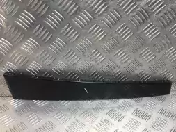 Молдинг стекла двери задней левой наружный