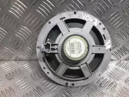 Динамик двери задней правой