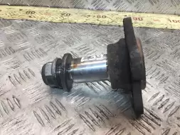 Цапфа задняя правая (ось ступицы)