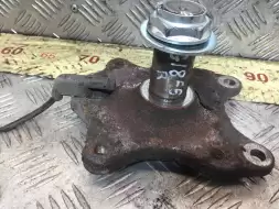 Цапфа задняя правая (ось ступицы)