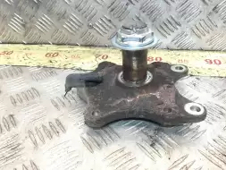 Цапфа задняя левая (ось ступицы)