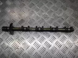 Ось коромысел