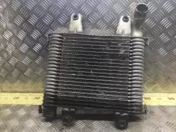 Интеркулер