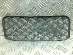 Заглушка (решетка) в бампер передний