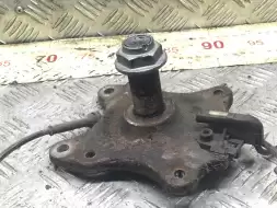 Цапфа задняя левая (ось ступицы)