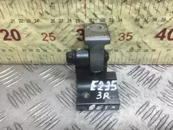 Петля двери задней правой