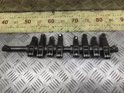 Ось коромысел