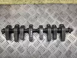 Ось коромысел