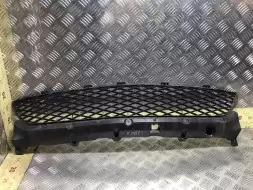 Заглушка (решетка) в бампер передний