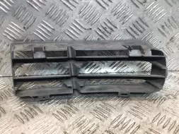 Заглушка (решетка) в бампер передний