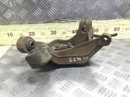 Кулак задний левый